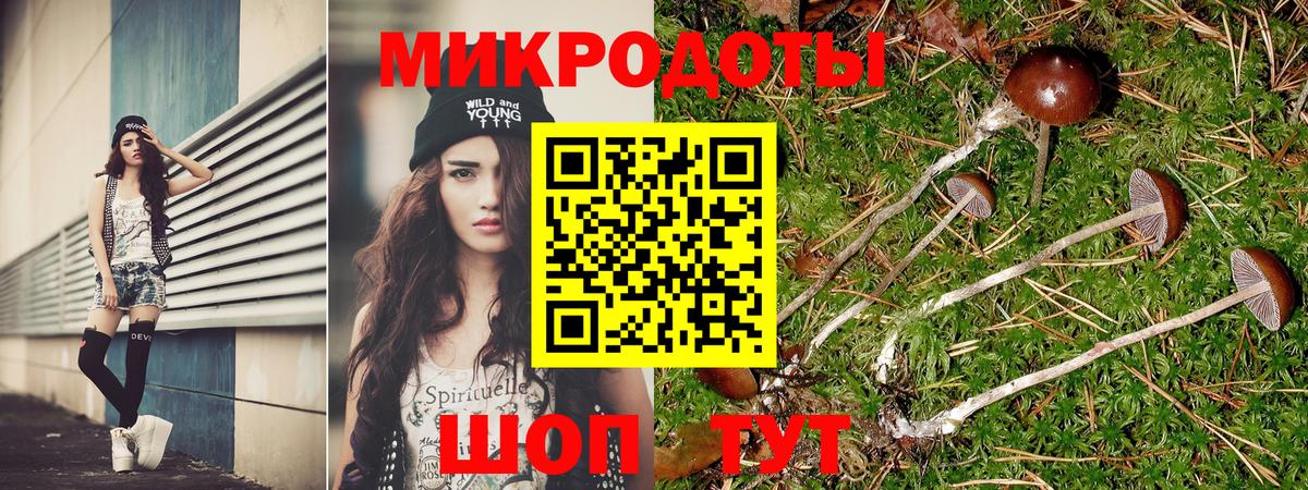 Псилоцибиновые грибы Psilocybe Орёл